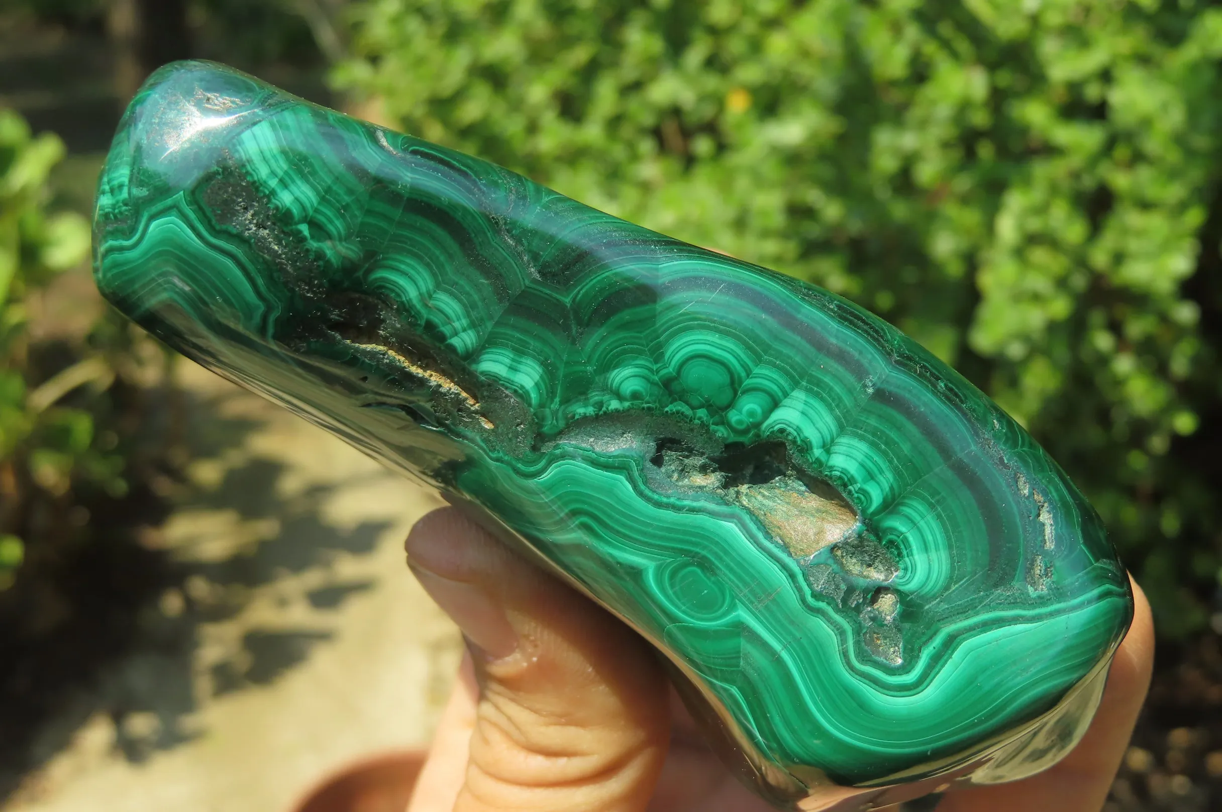 Polished Flower Banded Malachite Free Forms x 2 From Congo