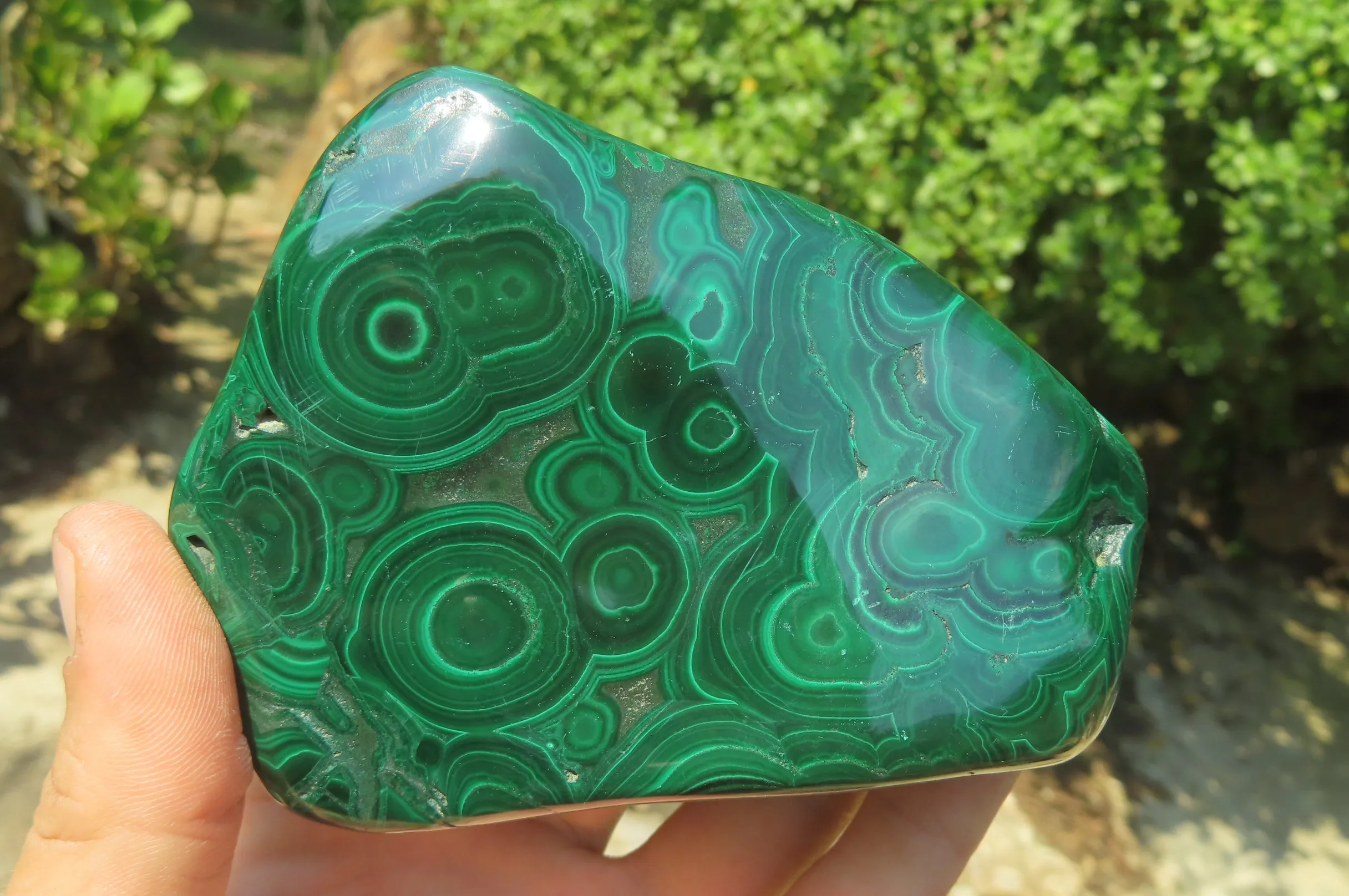 Polished Flower Banded Malachite Free Forms x 2 From Congo