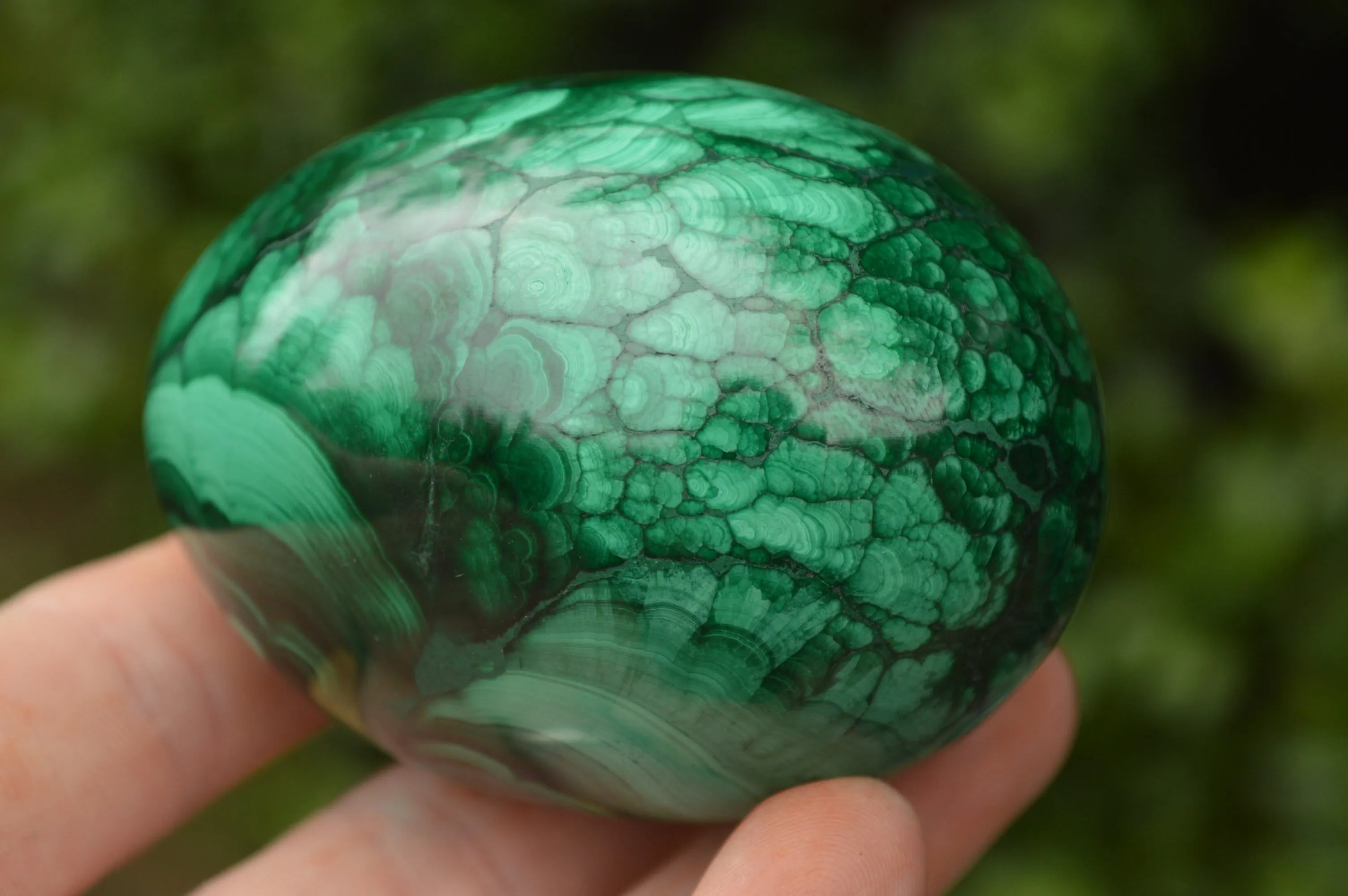 Polished Rare Malachite Gemstone Eggs x 2 From Congo