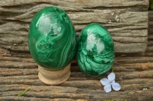 Polished Rare Malachite Gemstone Eggs x 2 From Congo