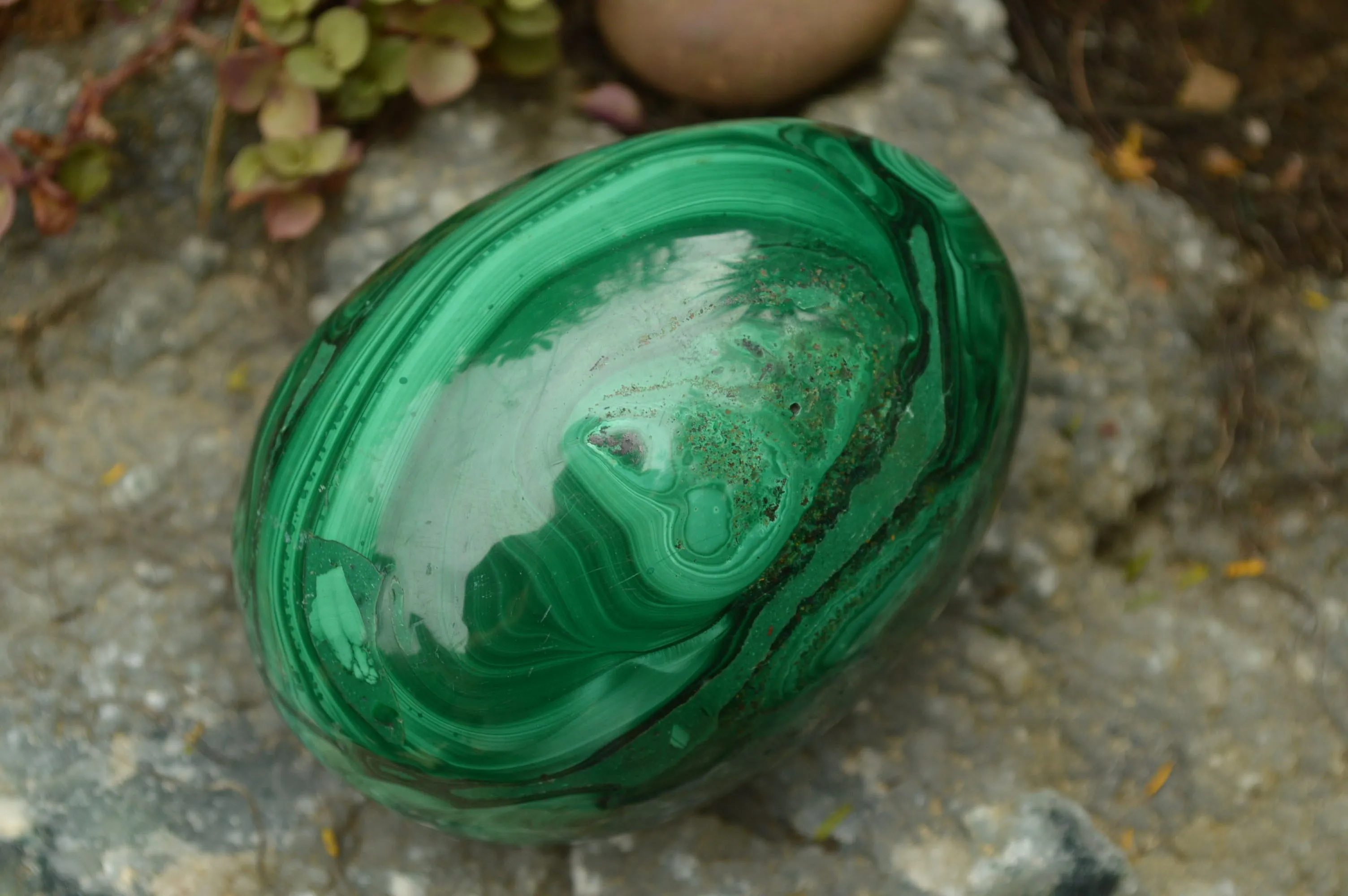 Polished Rare Malachite Gemstone Eggs x 2 From Congo