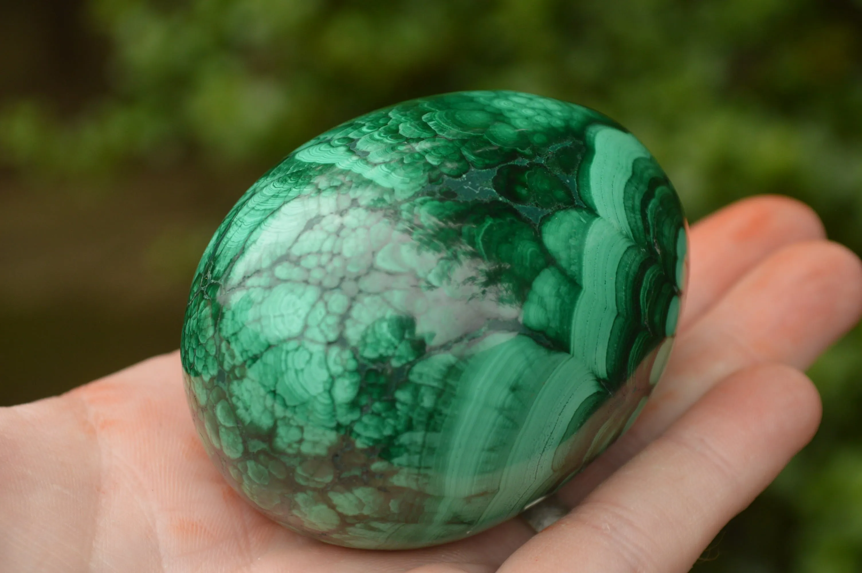 Polished Rare Malachite Gemstone Eggs x 2 From Congo