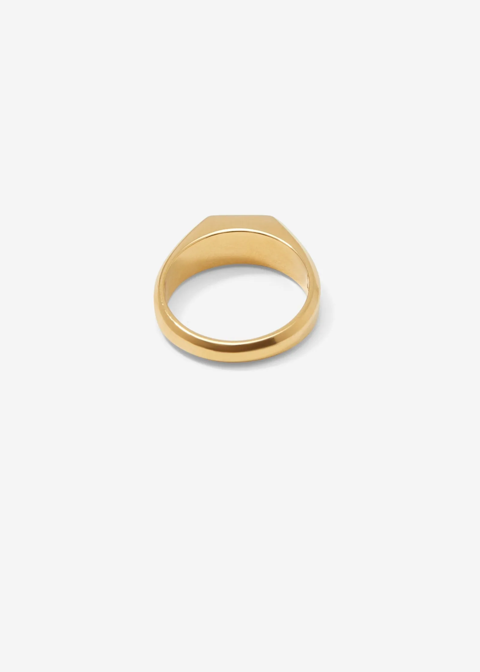 Slized Signet Ring